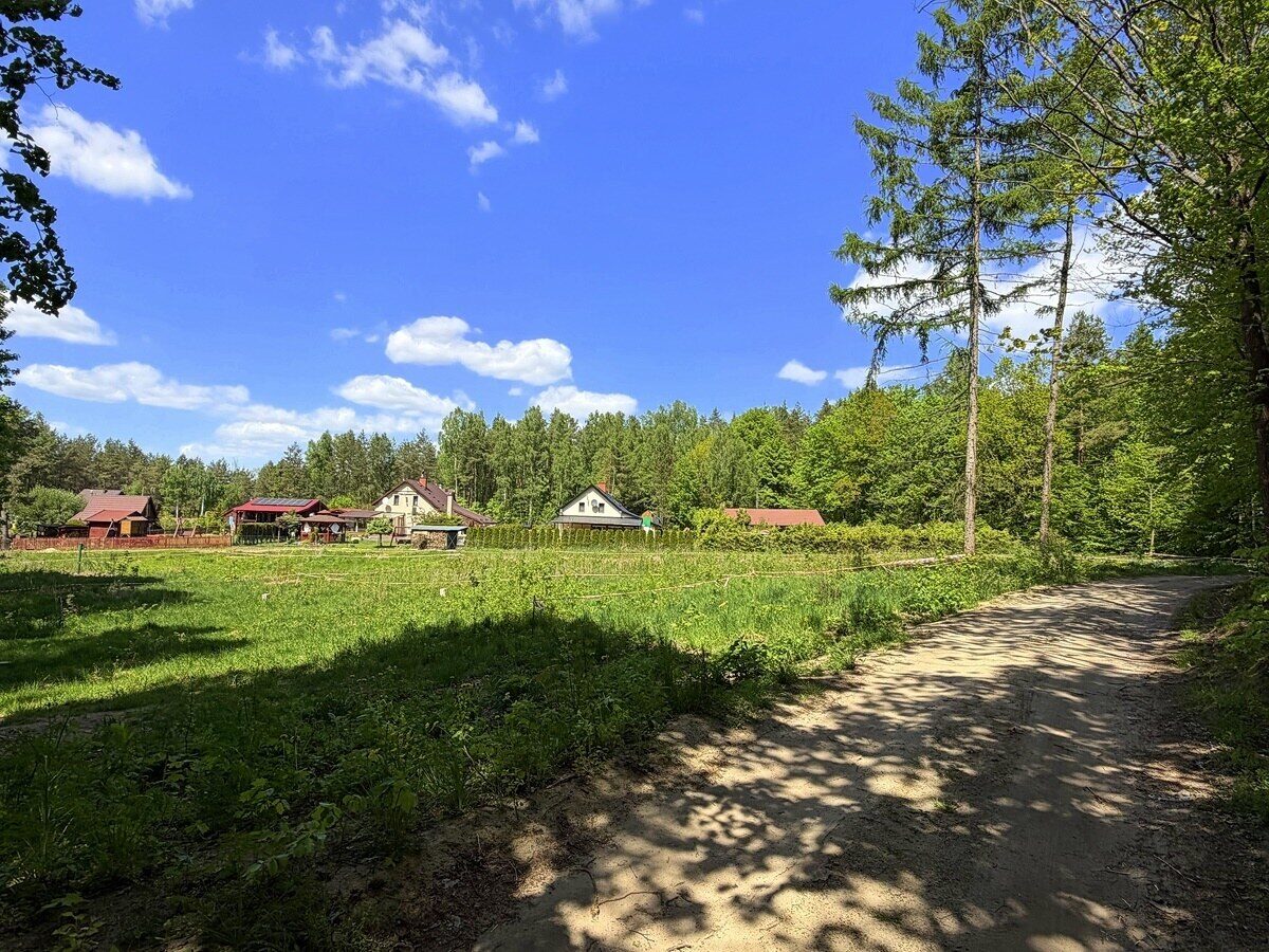 Zdjęcie 12