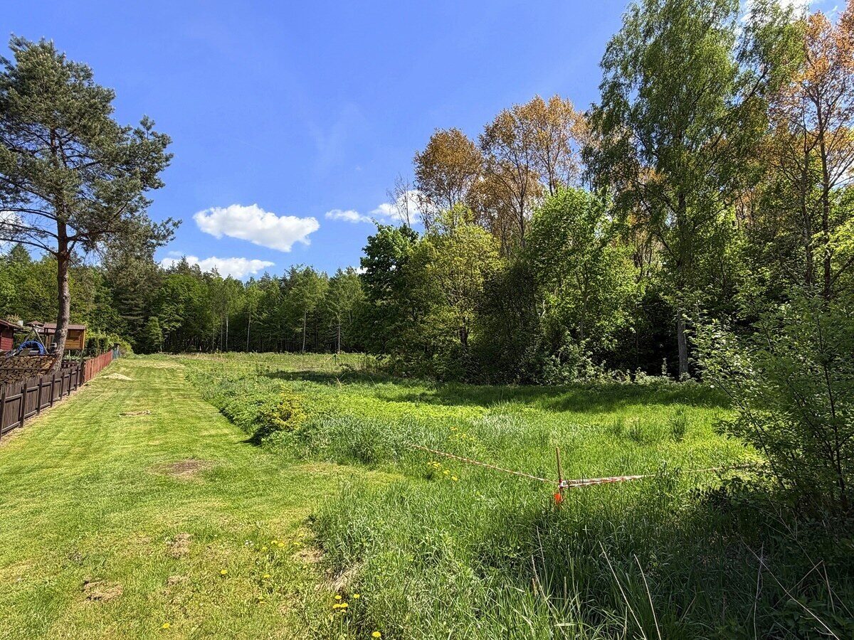 Zdjęcie 16