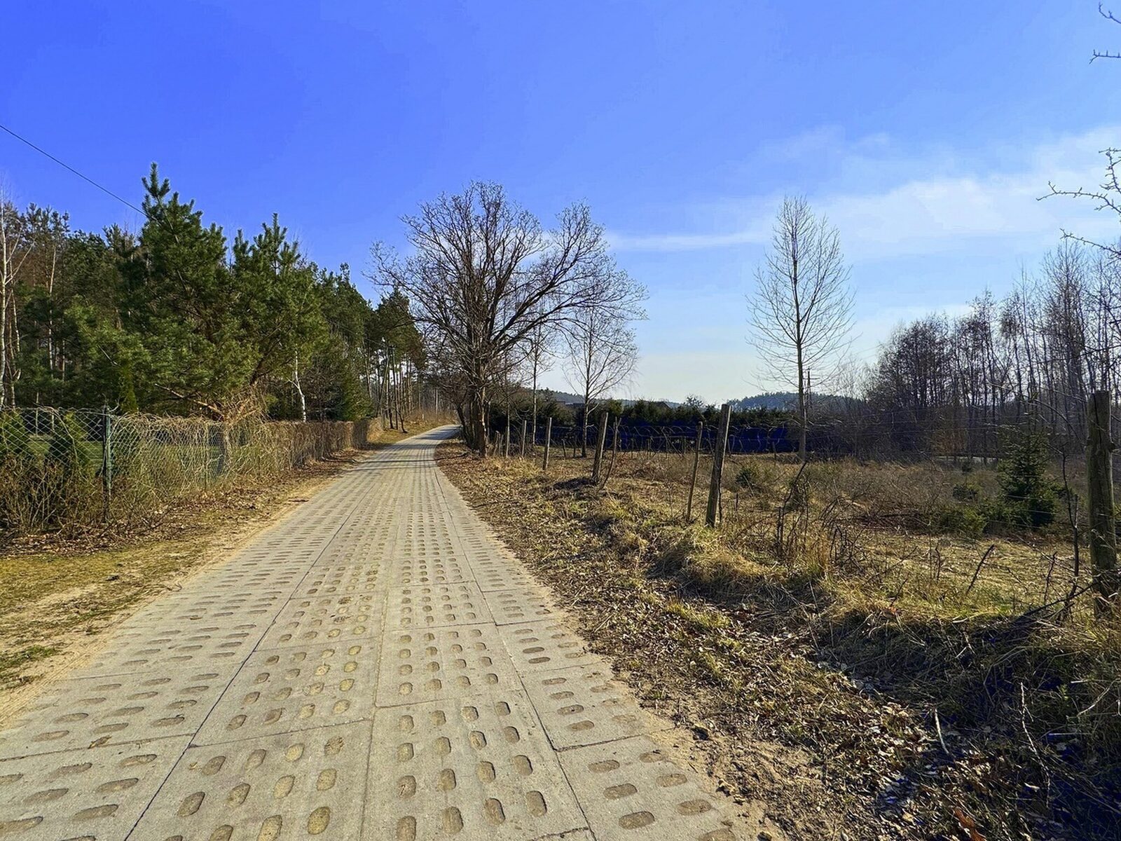 Zdjęcie 11