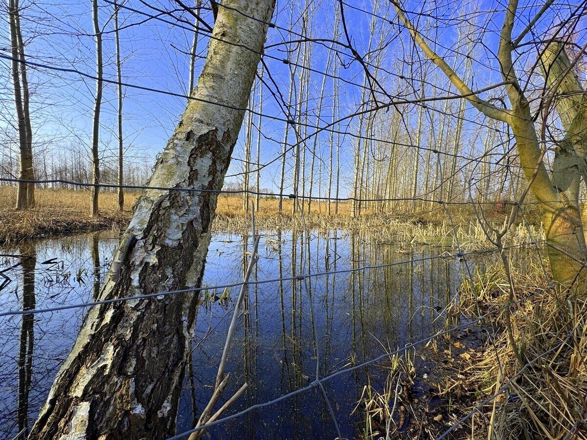 Zdjęcie 13
