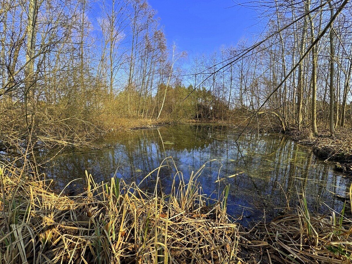 Zdjęcie 19