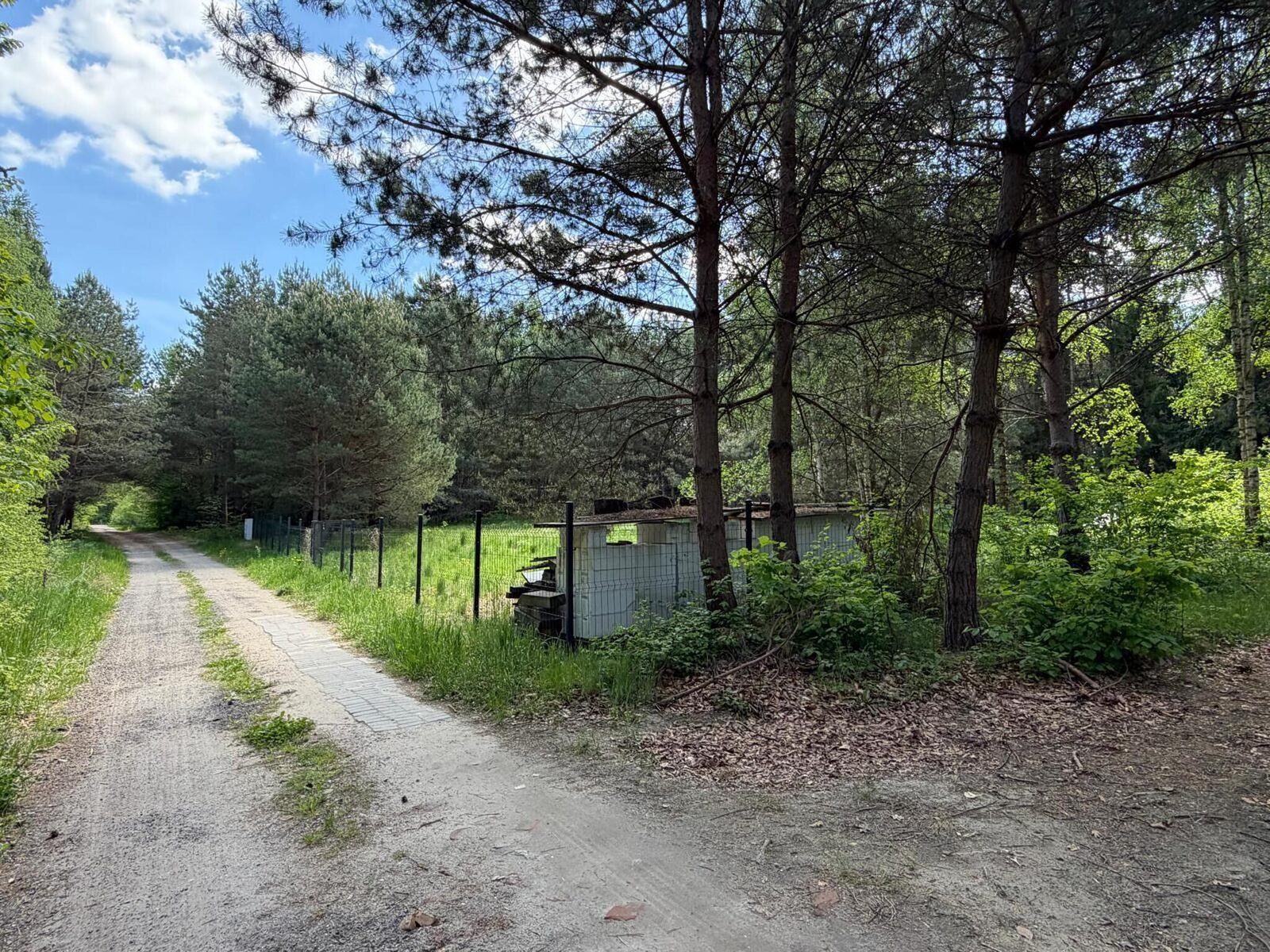 Zdjęcie 13