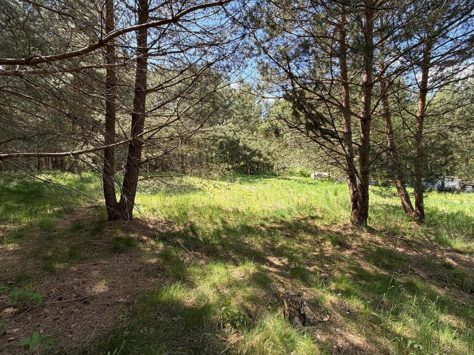 Zdjęcie 15