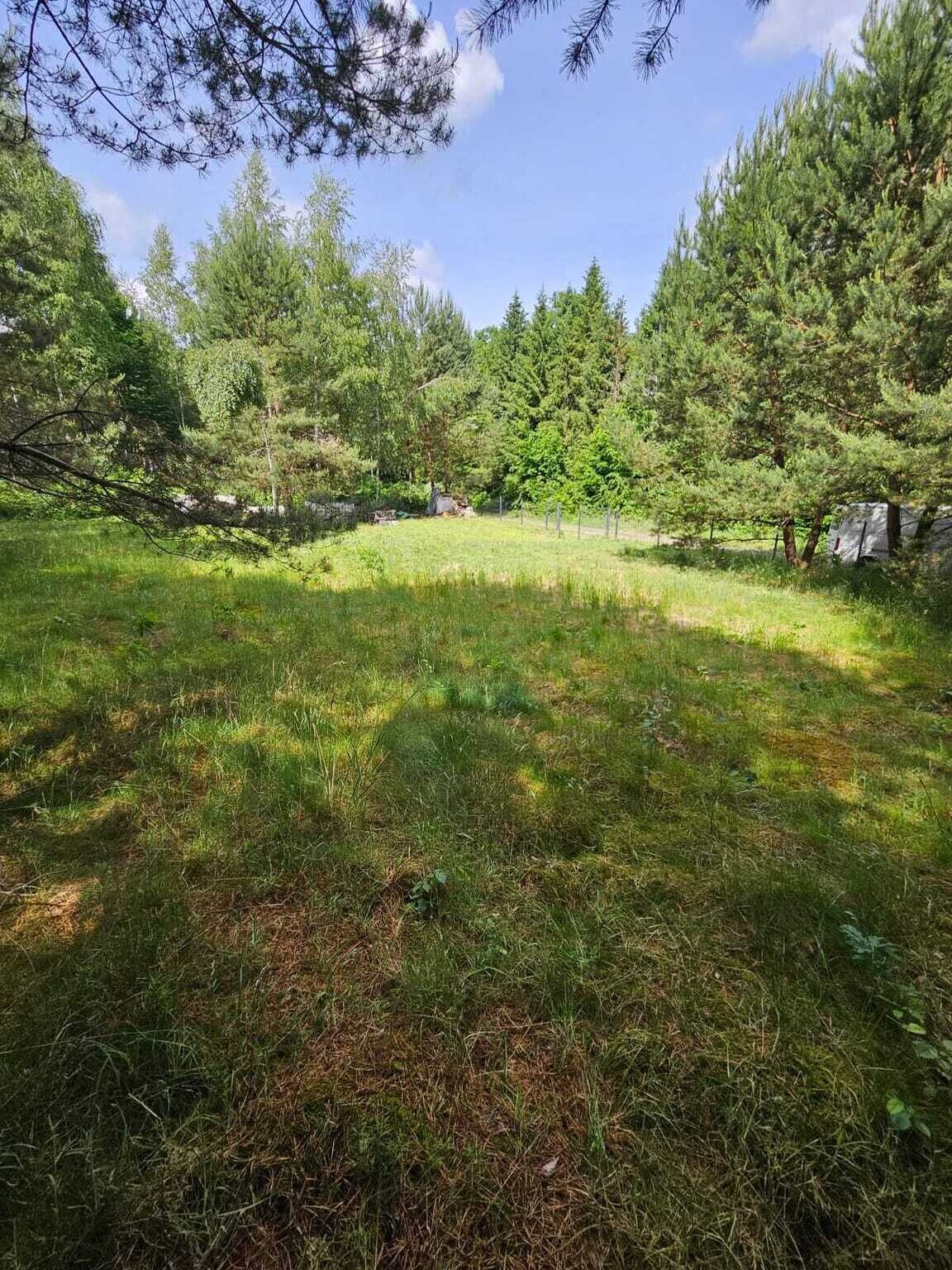 Zdjęcie 21