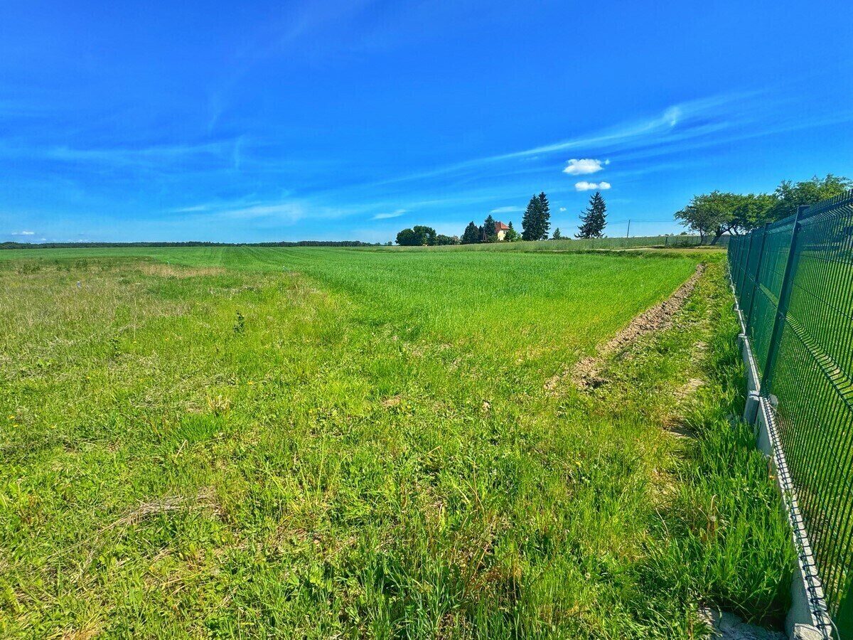 Zdjęcie 10