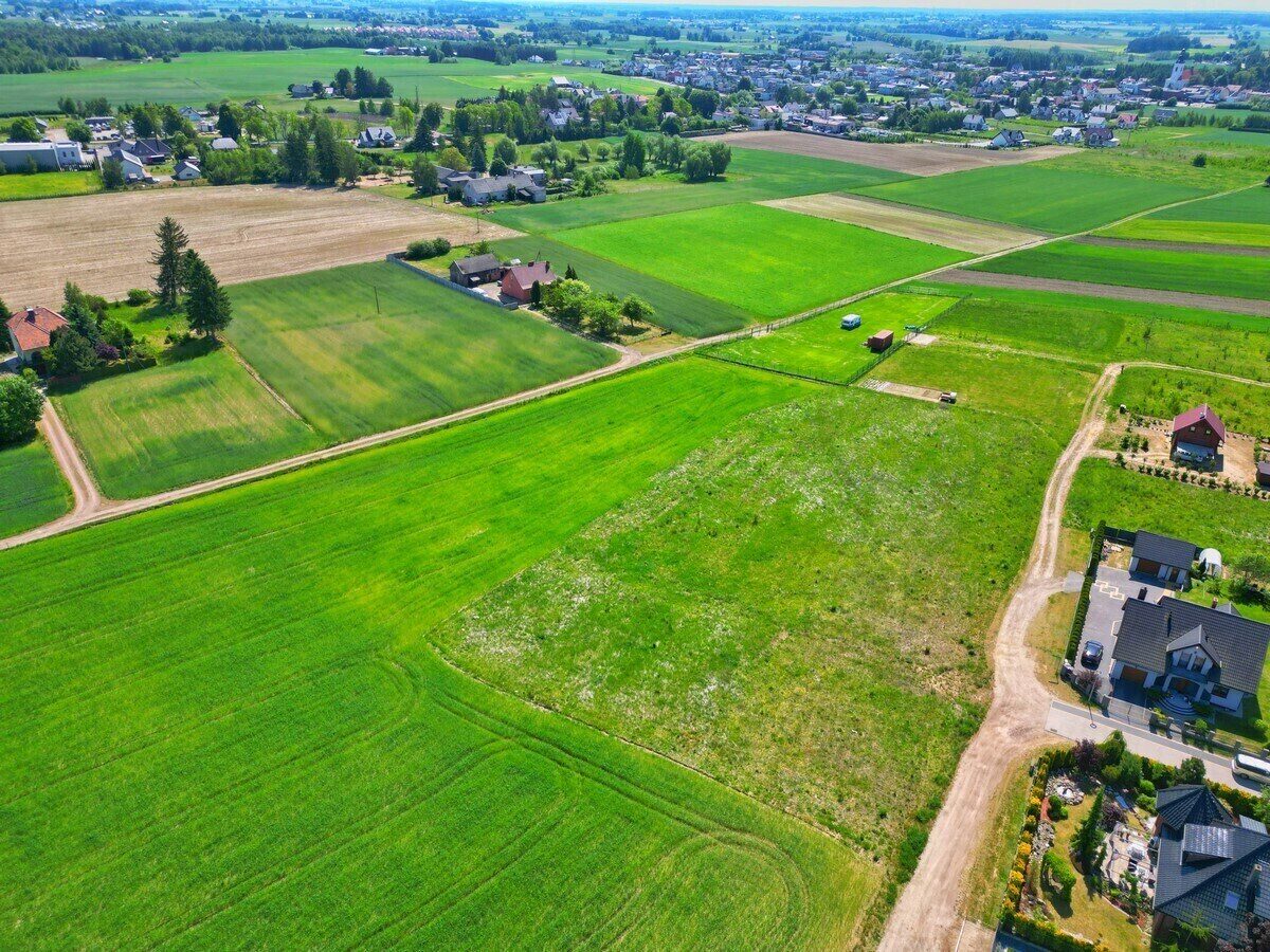 Zdjęcie 12