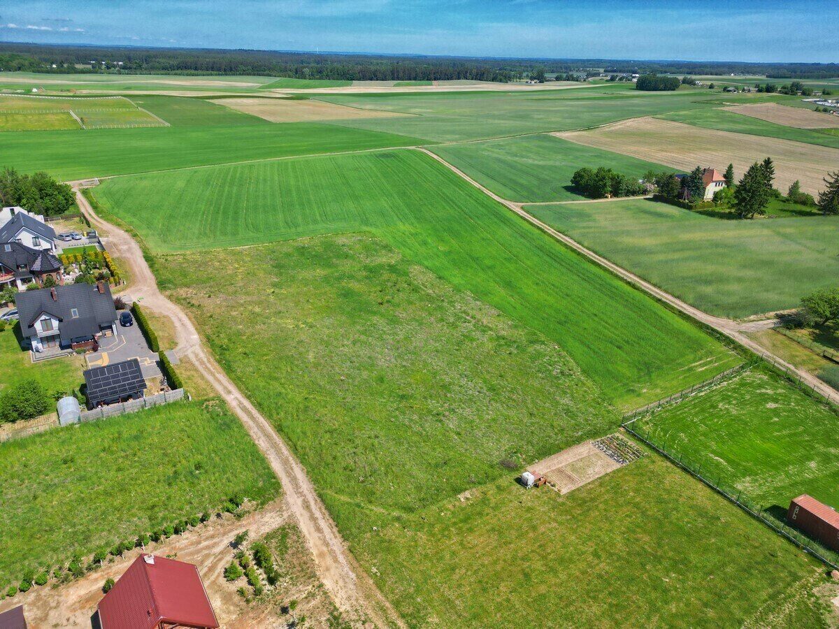 Zdjęcie 15