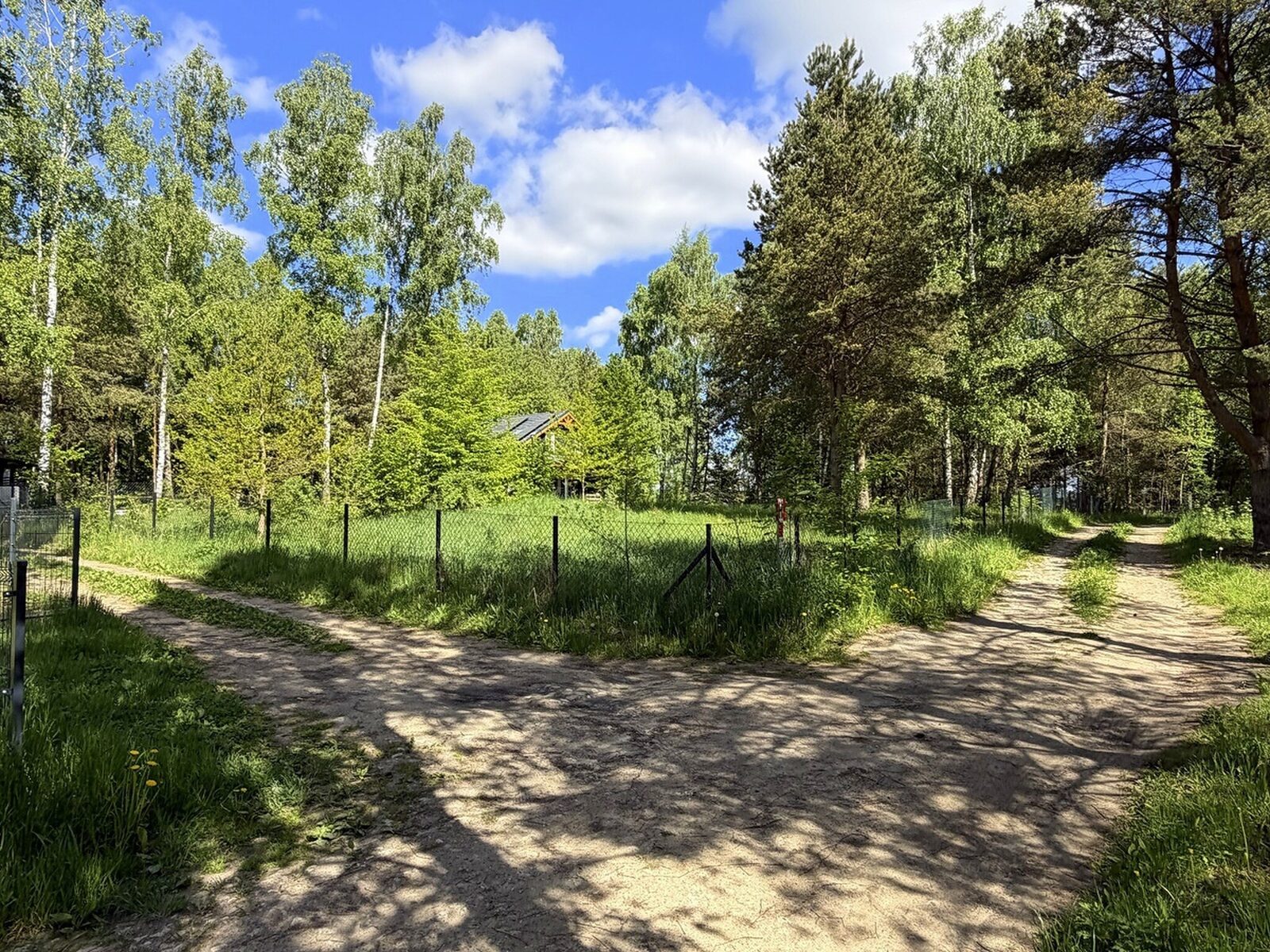 Zdjęcie 12