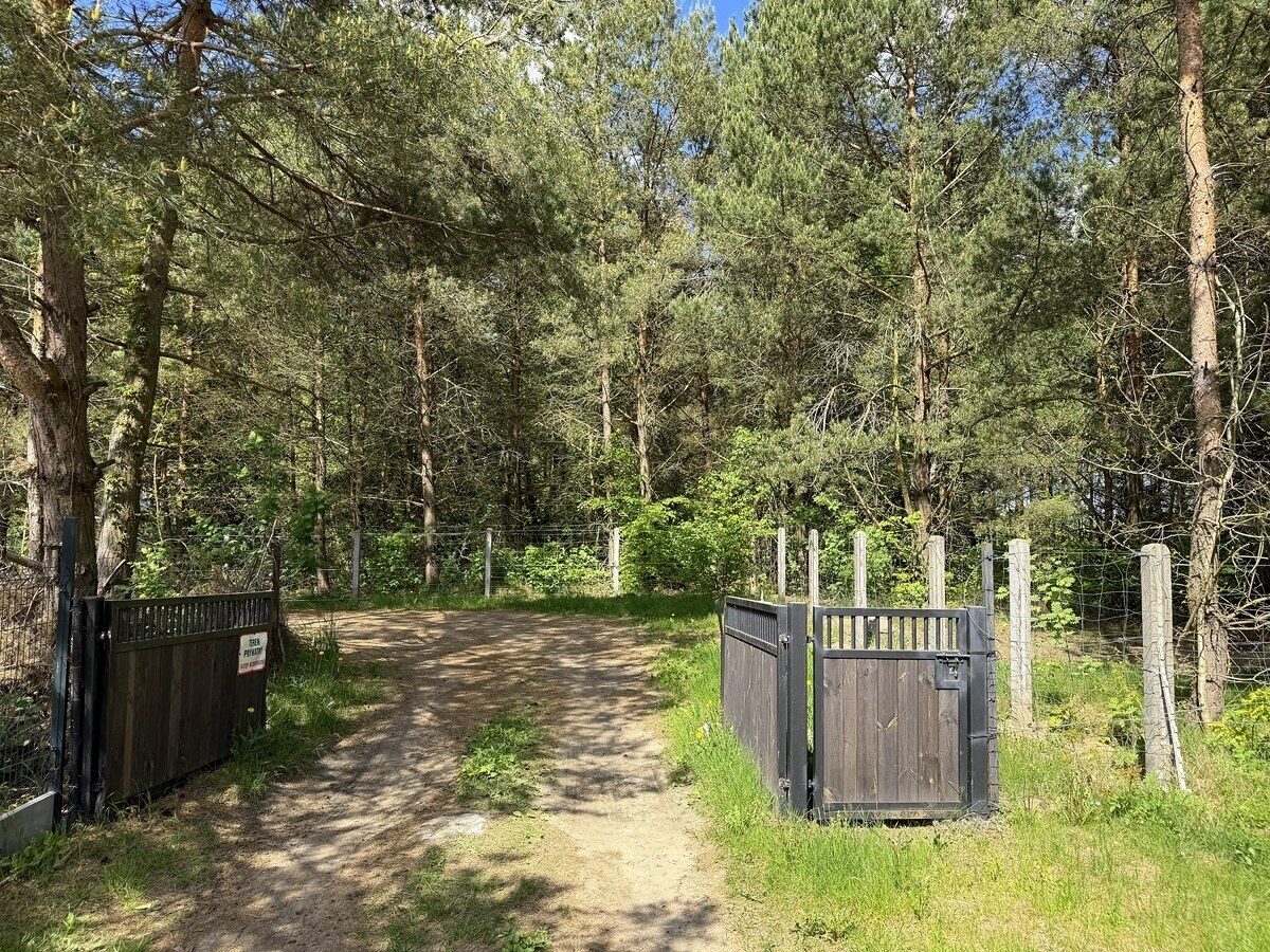 Zdjęcie 13
