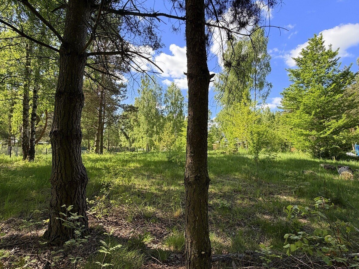 Zdjęcie 16