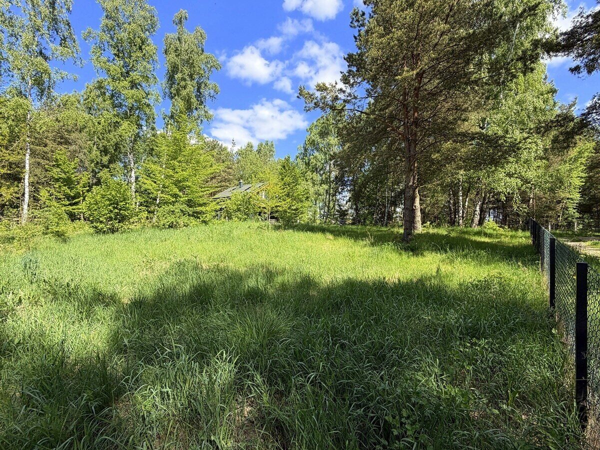 Zdjęcie 18