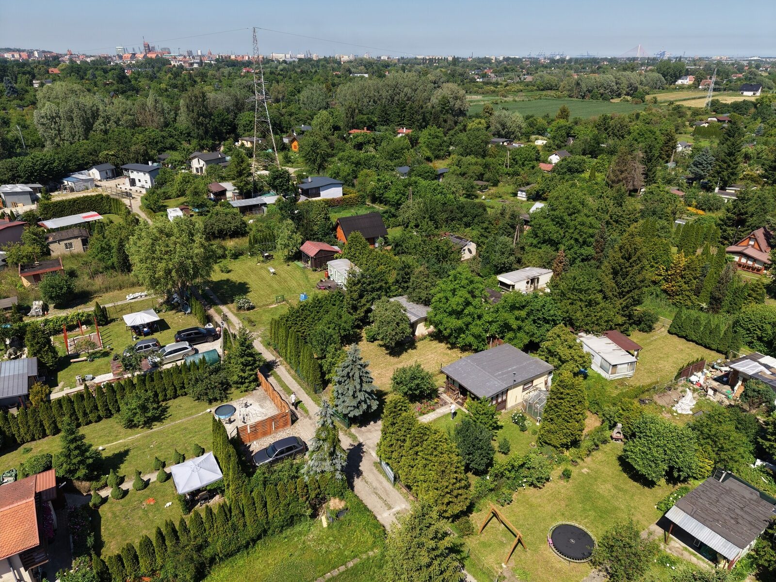 Zdjęcie 25