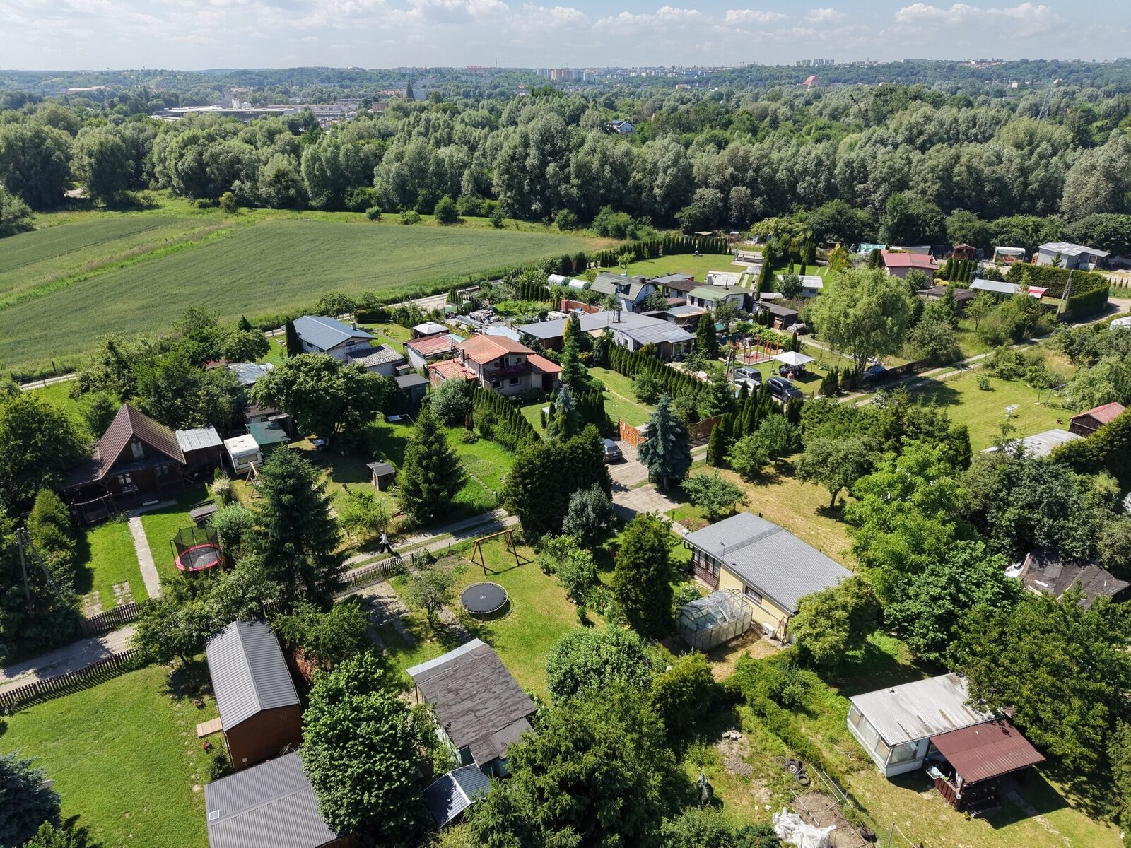 Zdjęcie 29
