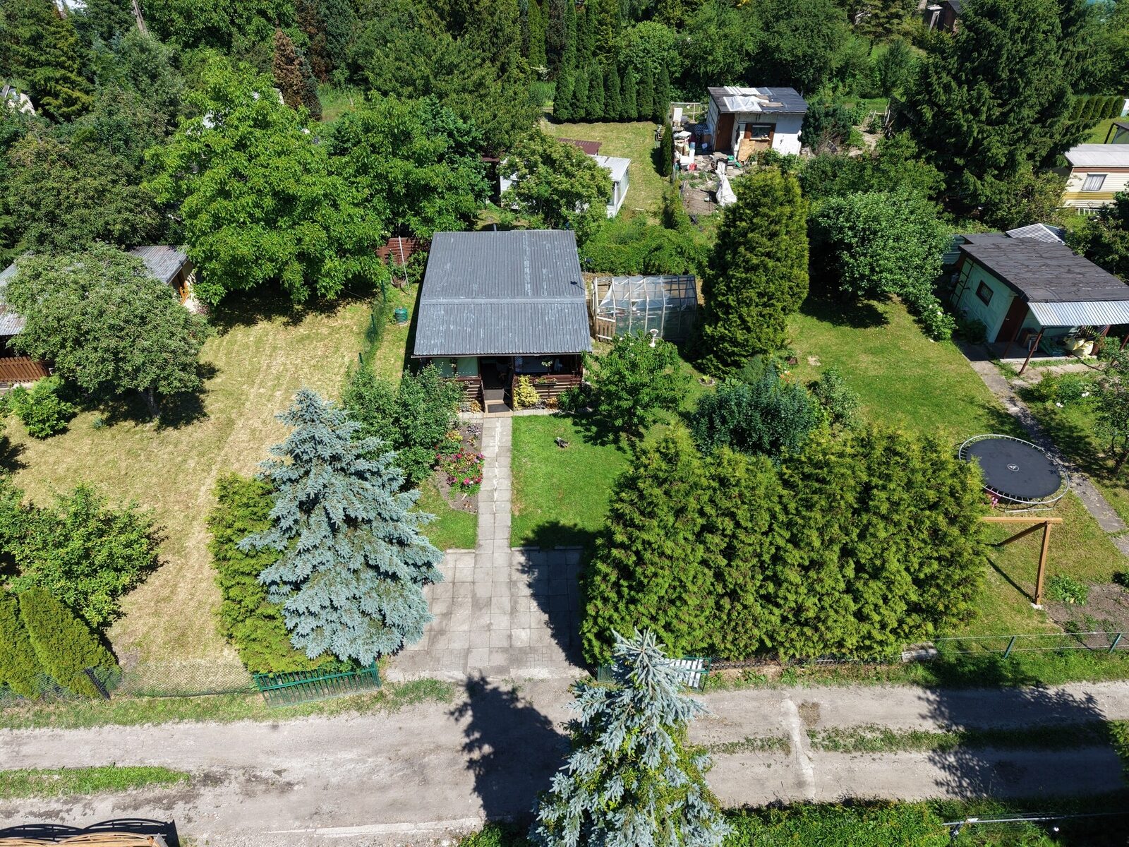 Zdjęcie 19