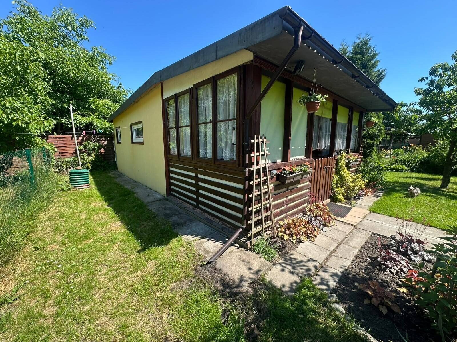 Zdjęcie 12
