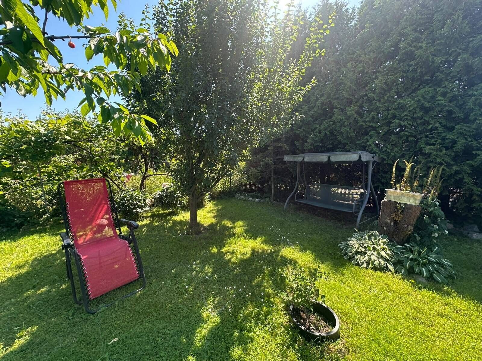 Zdjęcie 15