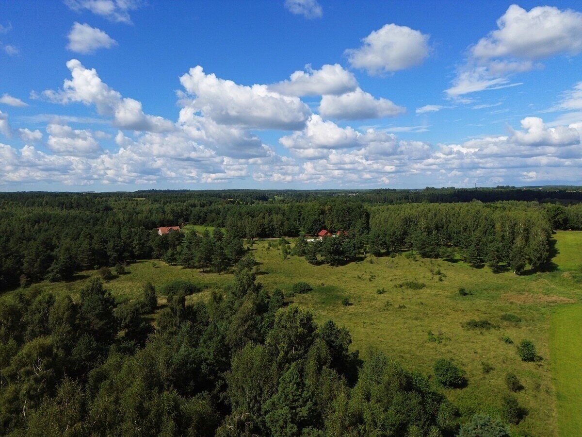 Zdjęcie 8