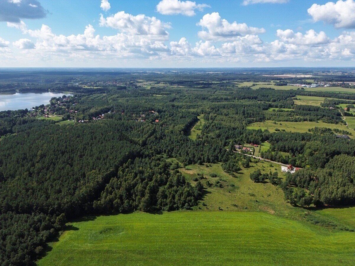 Zdjęcie 10