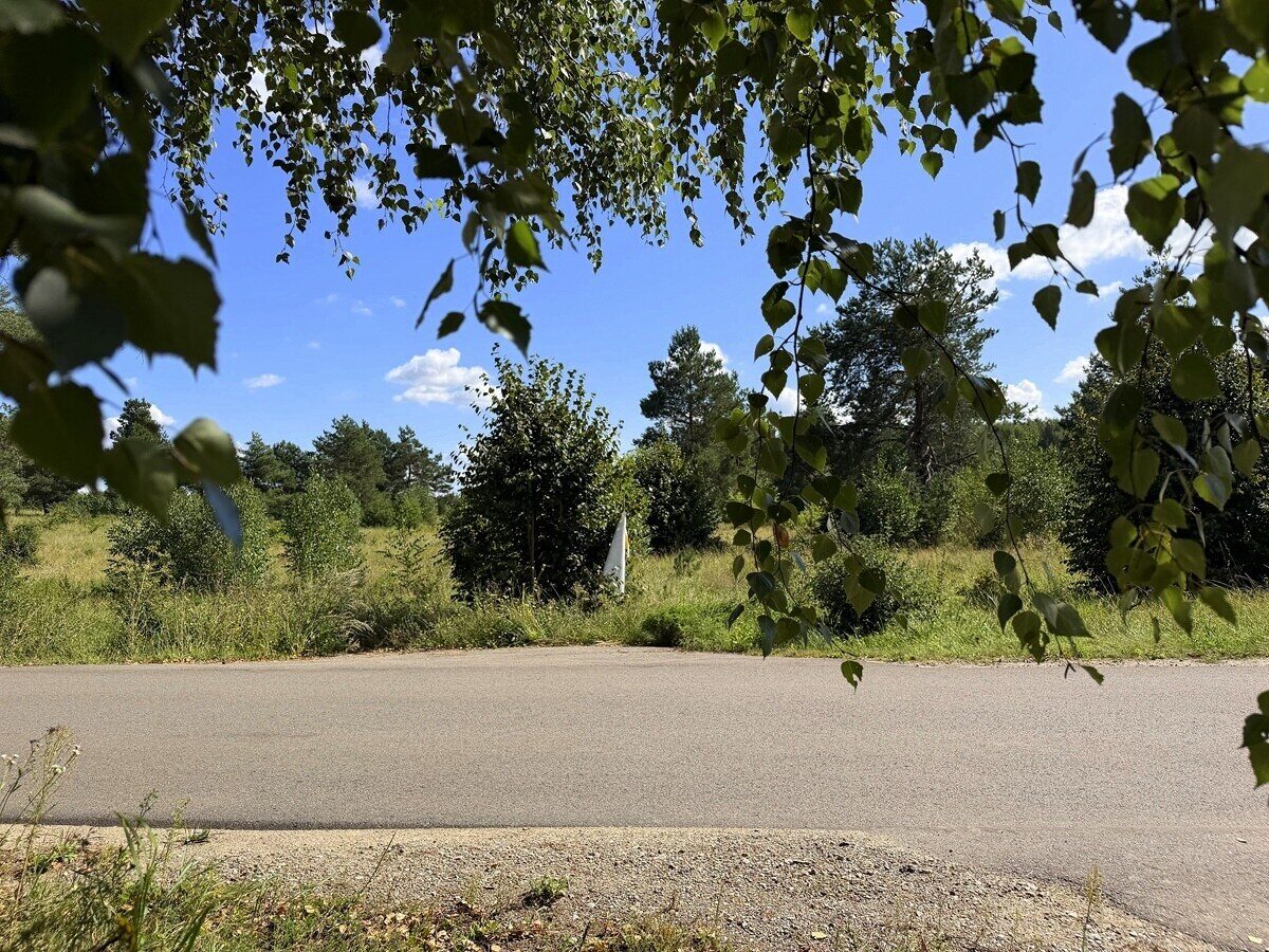 Zdjęcie 11