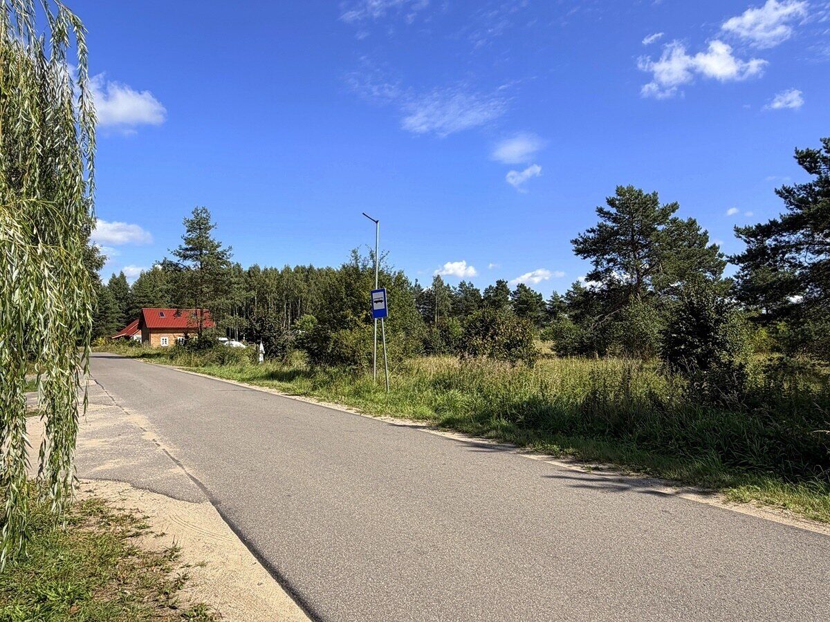 Zdjęcie 12