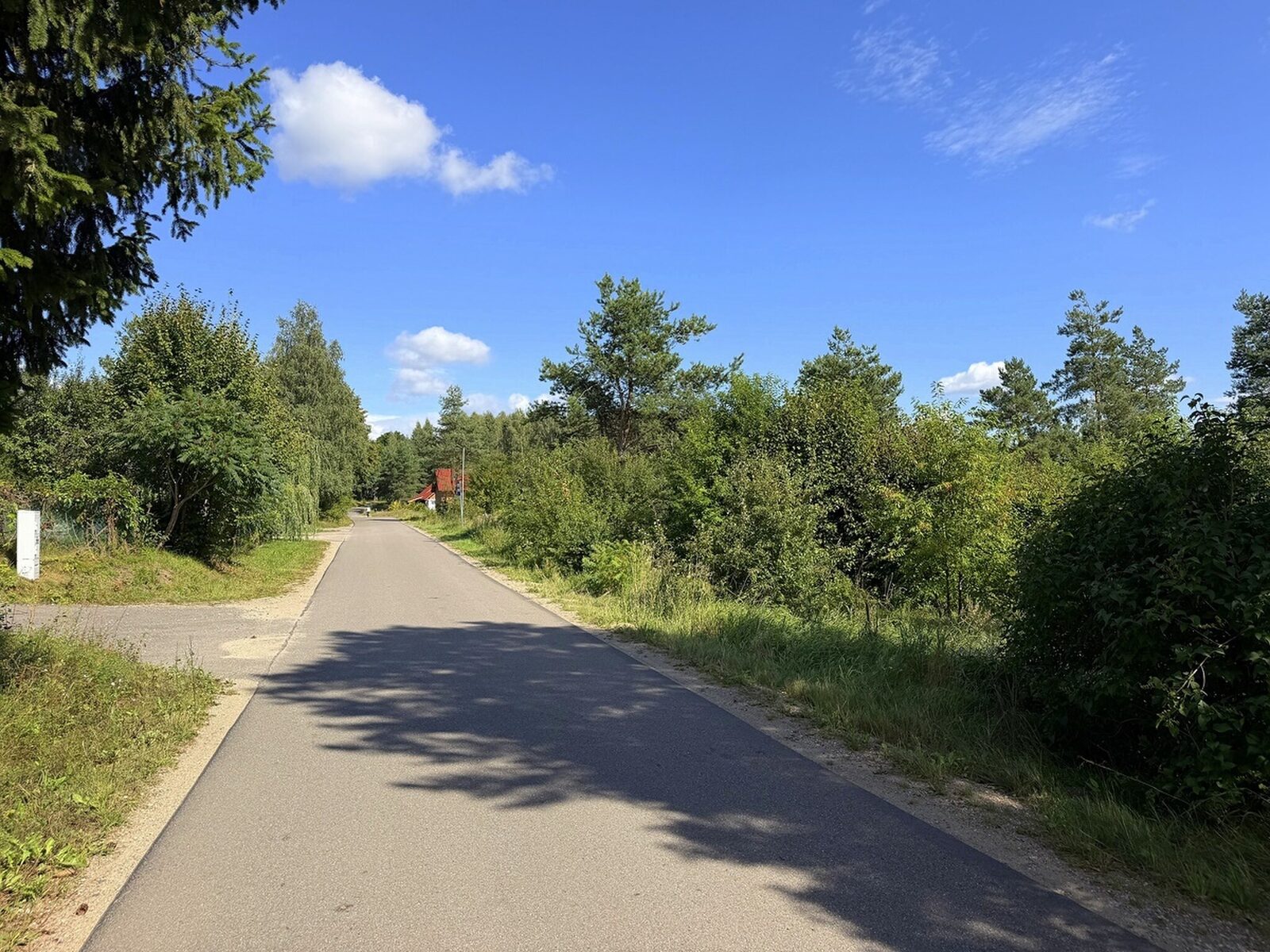 Zdjęcie 13