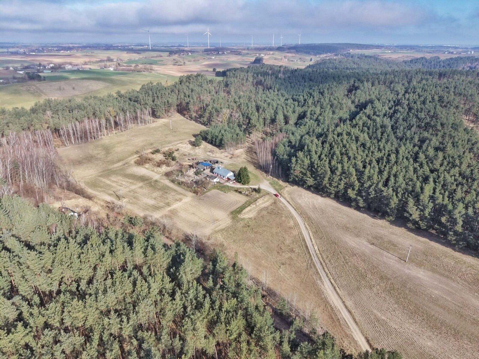 Zdjęcie 2