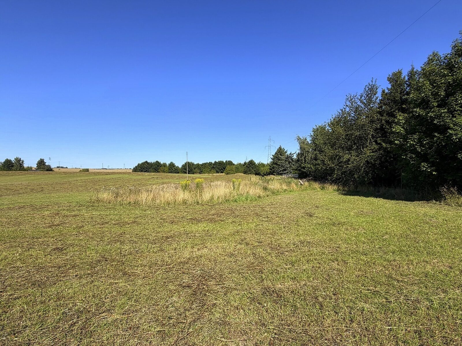 Zdjęcie 9