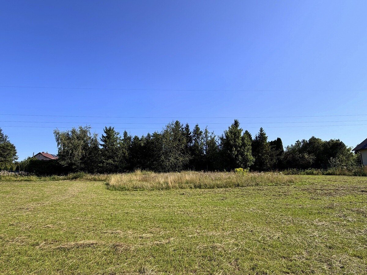 Zdjęcie 12