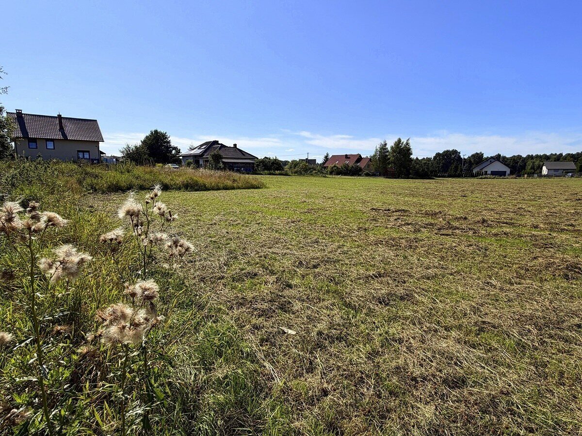 Zdjęcie 13