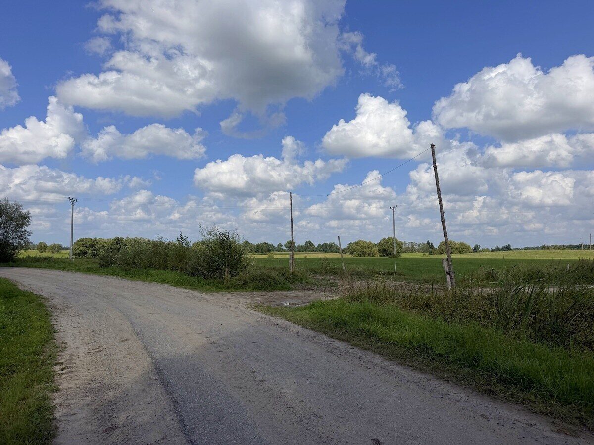 Zdjęcie 8