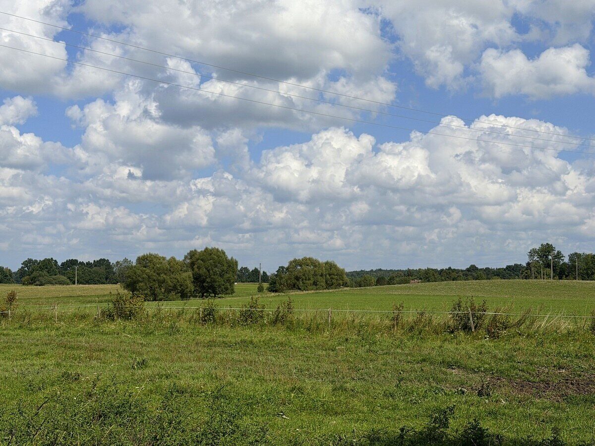 Zdjęcie 10