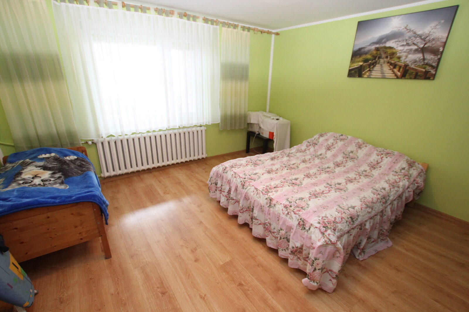 Zdjęcie 10