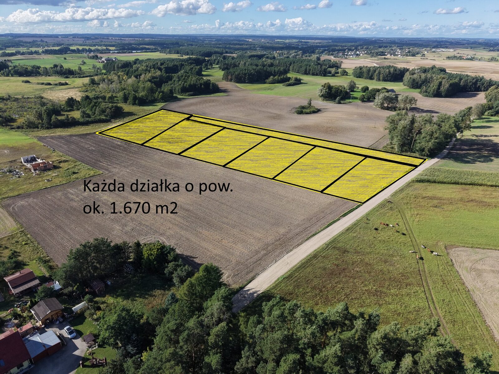 Zdjęcie 1