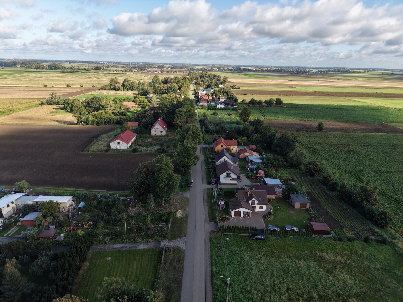 Zdjęcie 5