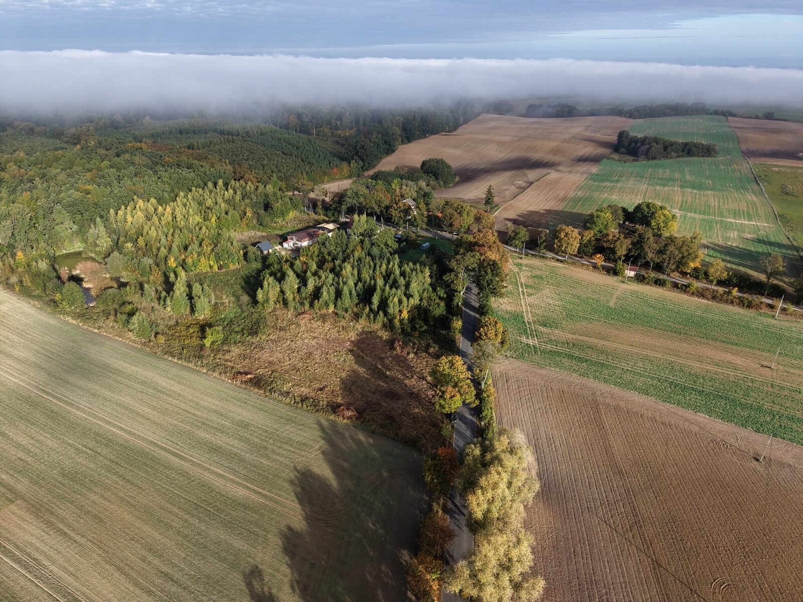 Zdjęcie 15