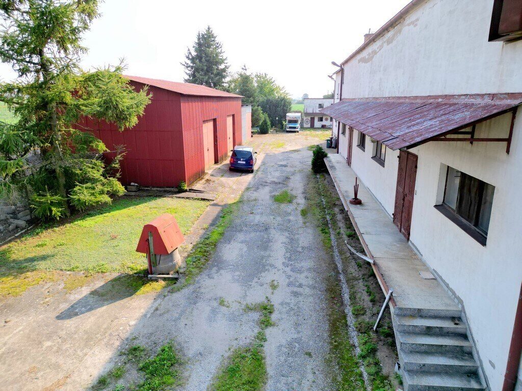 Zdjęcie 4