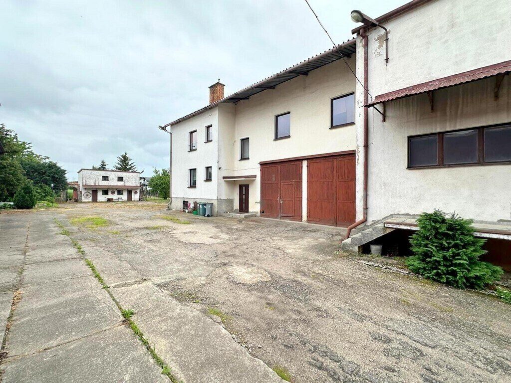 Zdjęcie 5