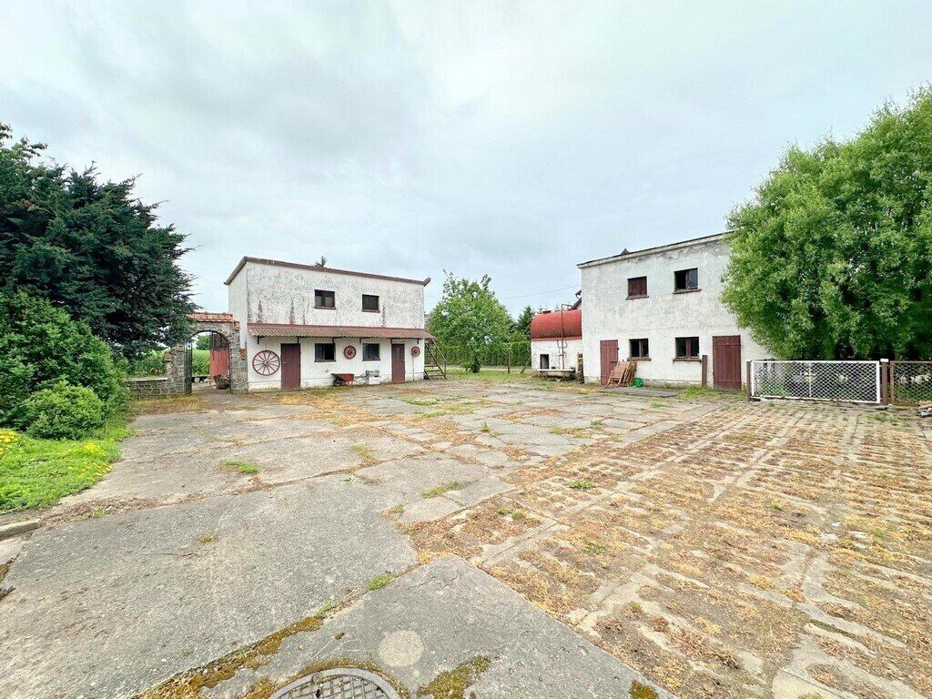 Zdjęcie 6
