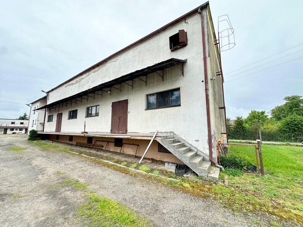 Zdjęcie 8