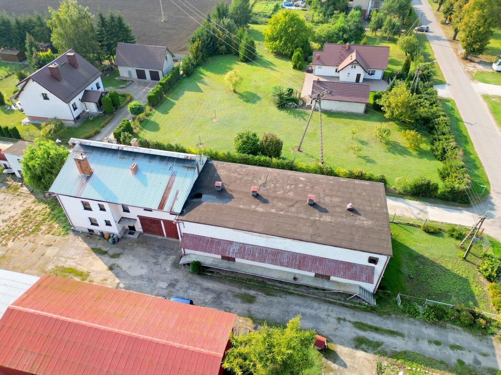 Zdjęcie 9