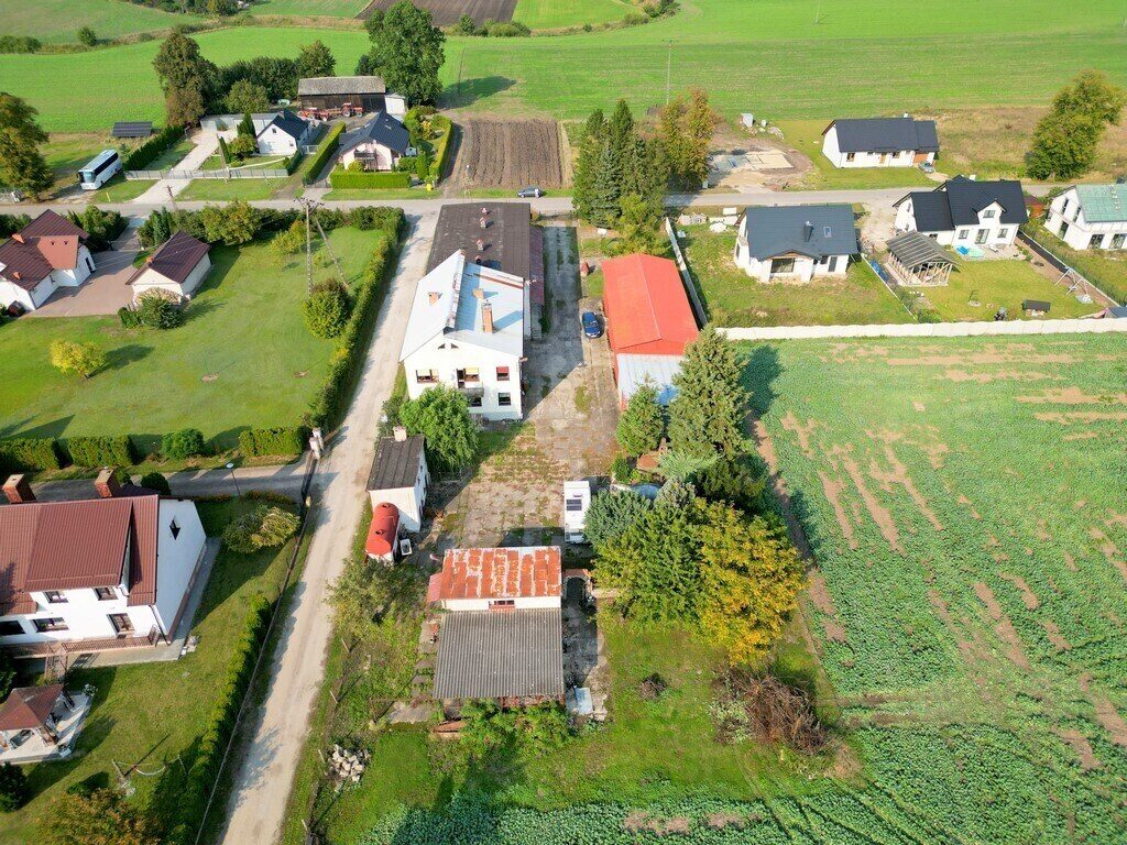 Zdjęcie 13