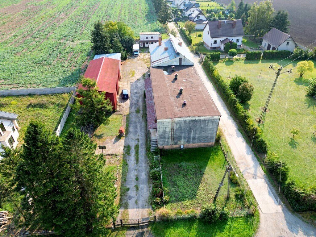 Zdjęcie 14