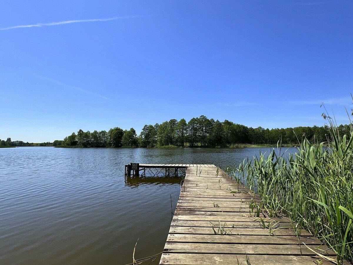 Zdjęcie 14
