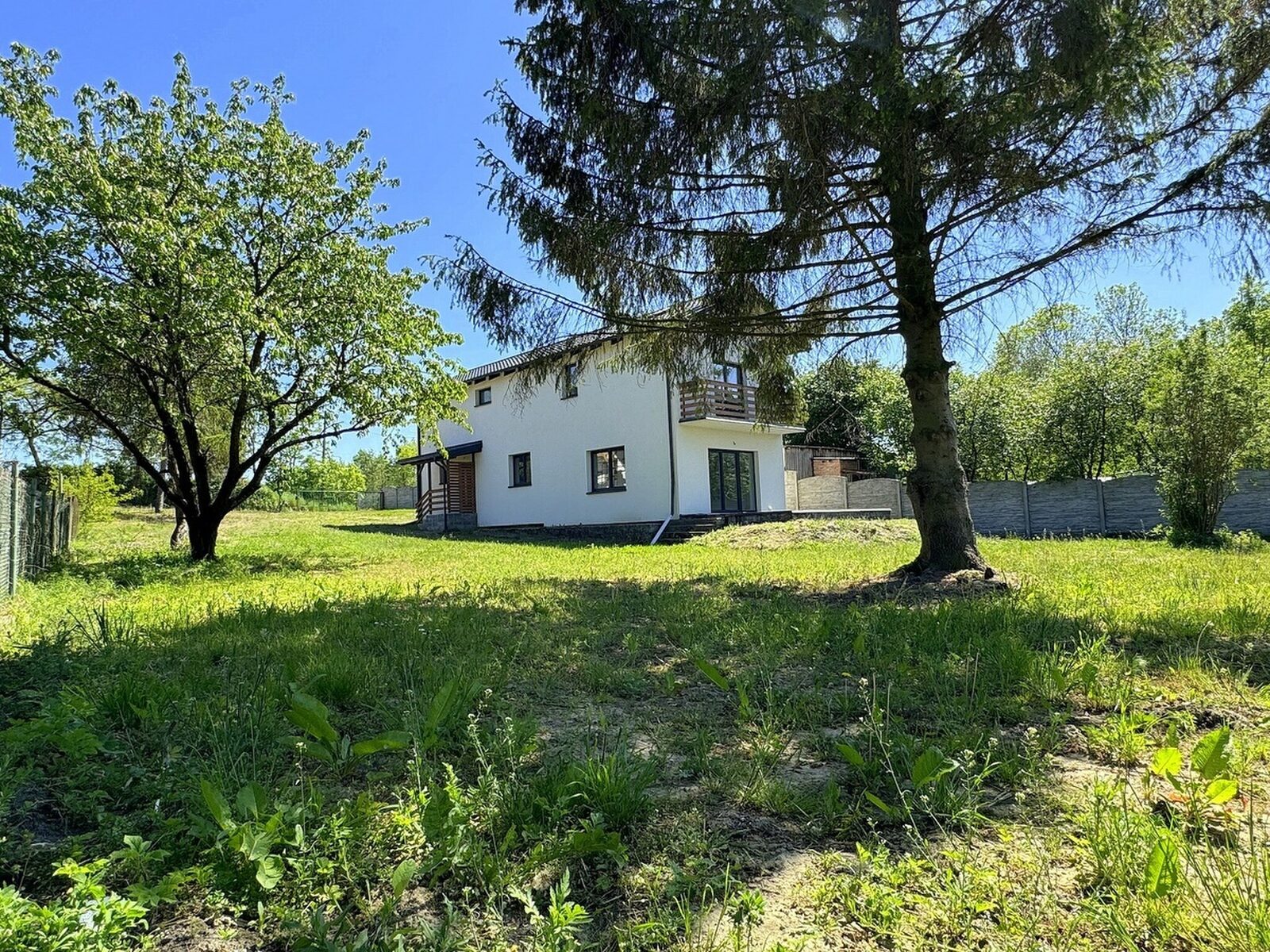 Zdjęcie 38