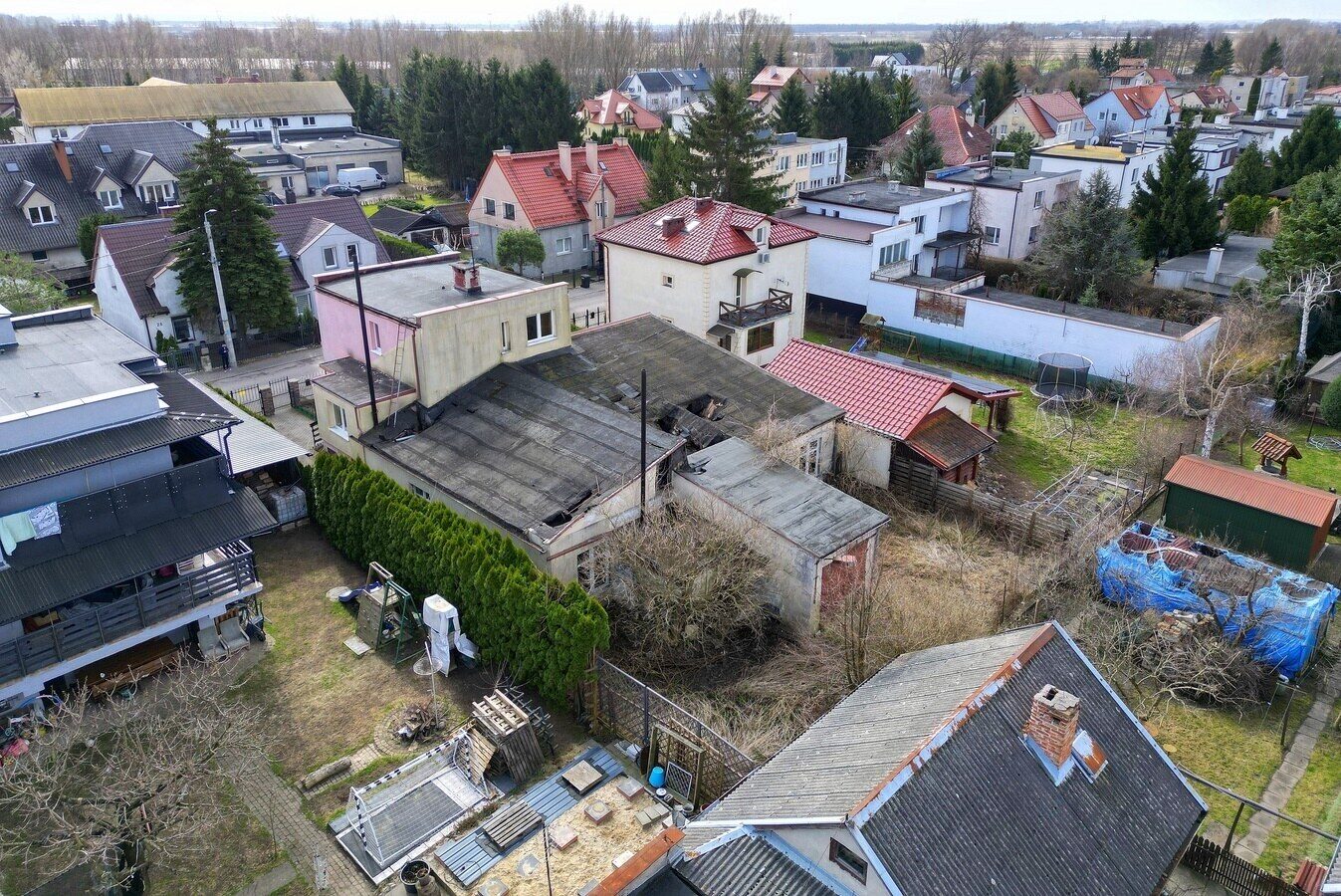 Zdjęcie 6
