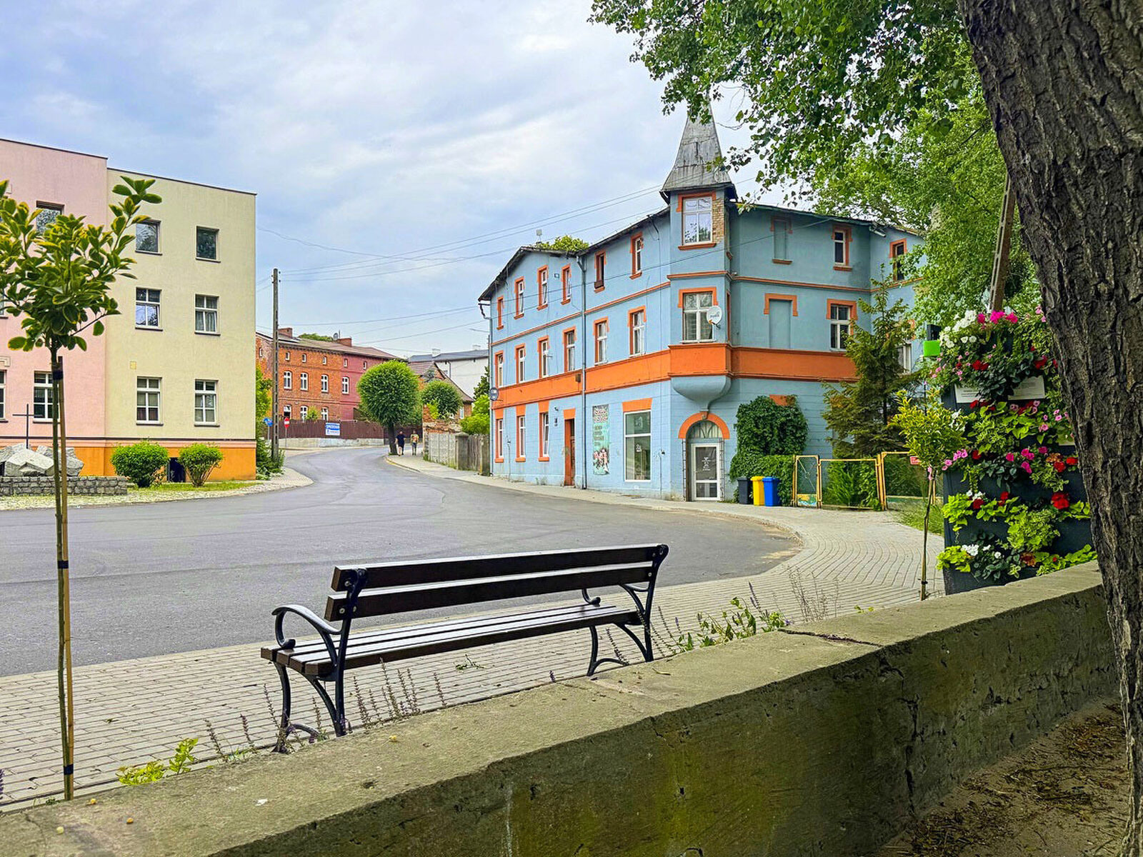 Zdjęcie 8