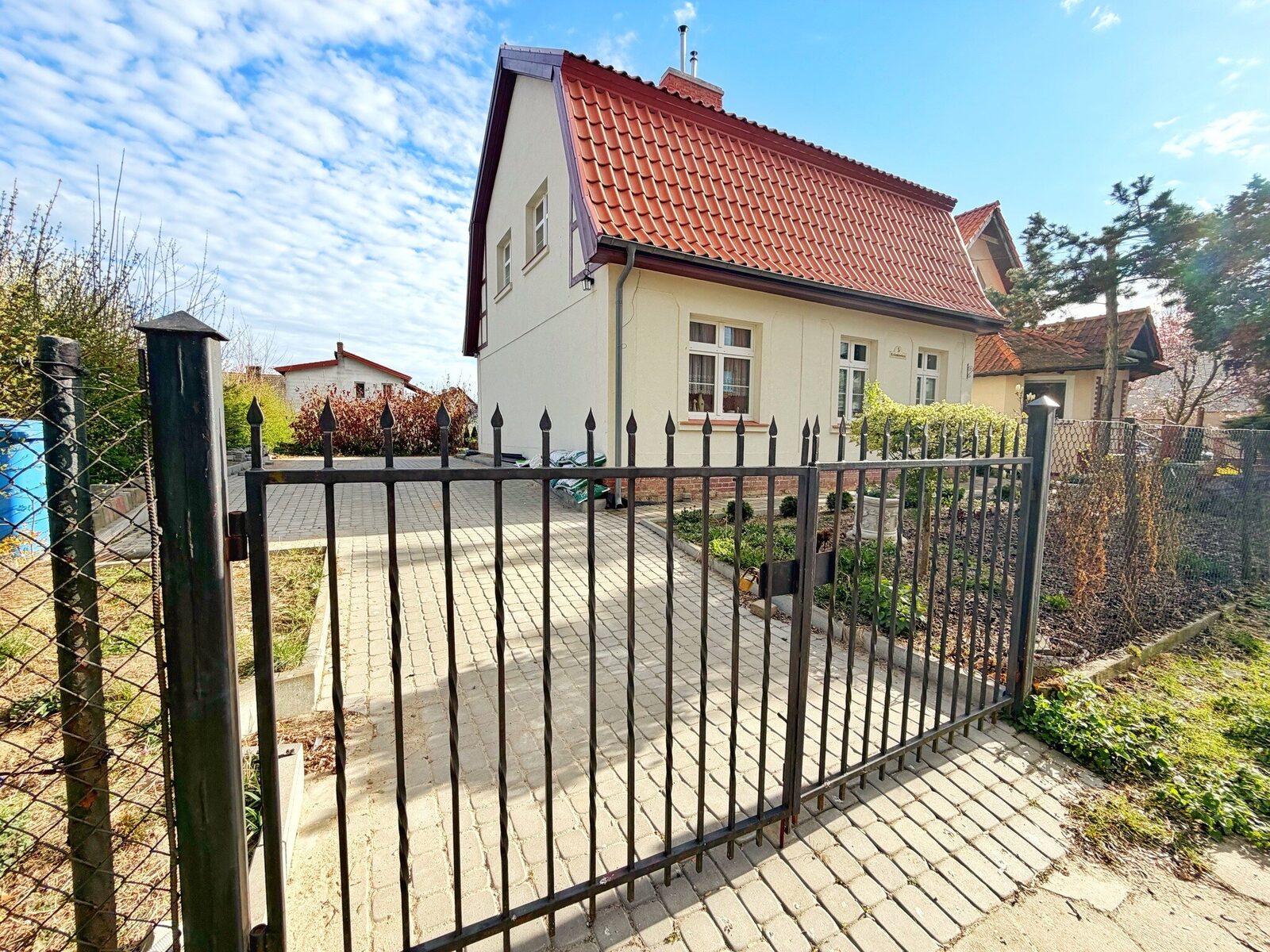 Zdjęcie 1