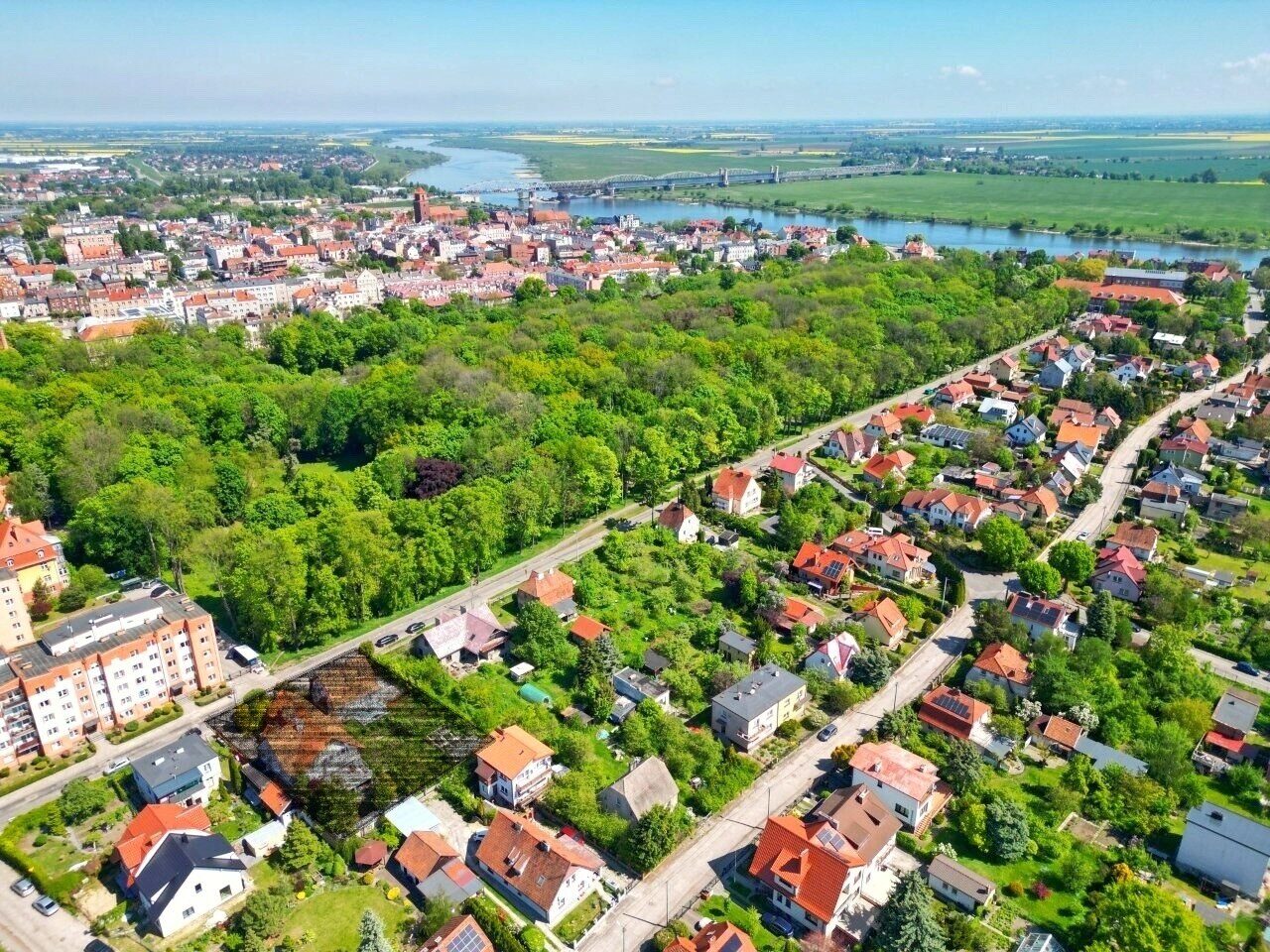Zdjęcie 1