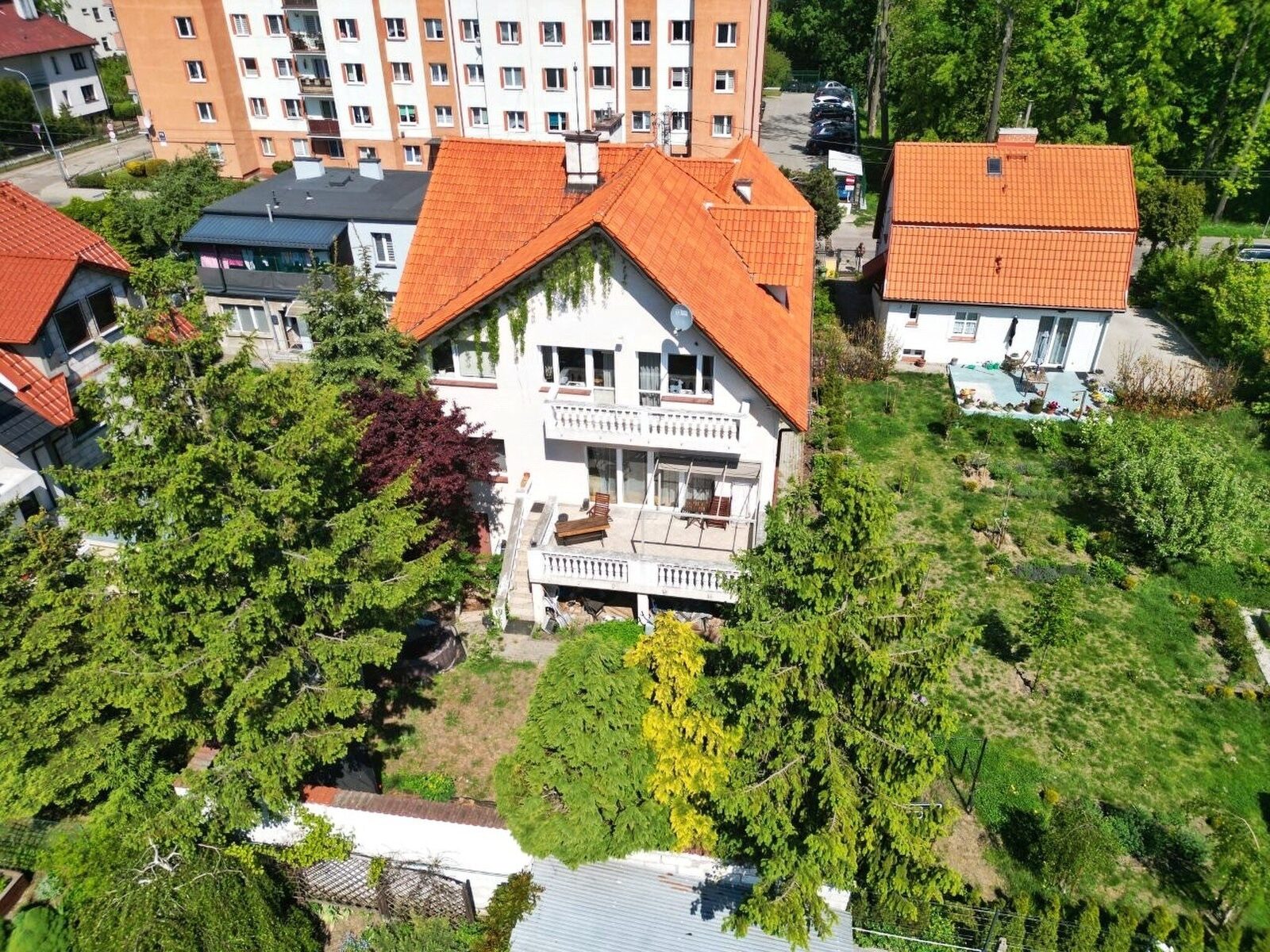 Zdjęcie 5