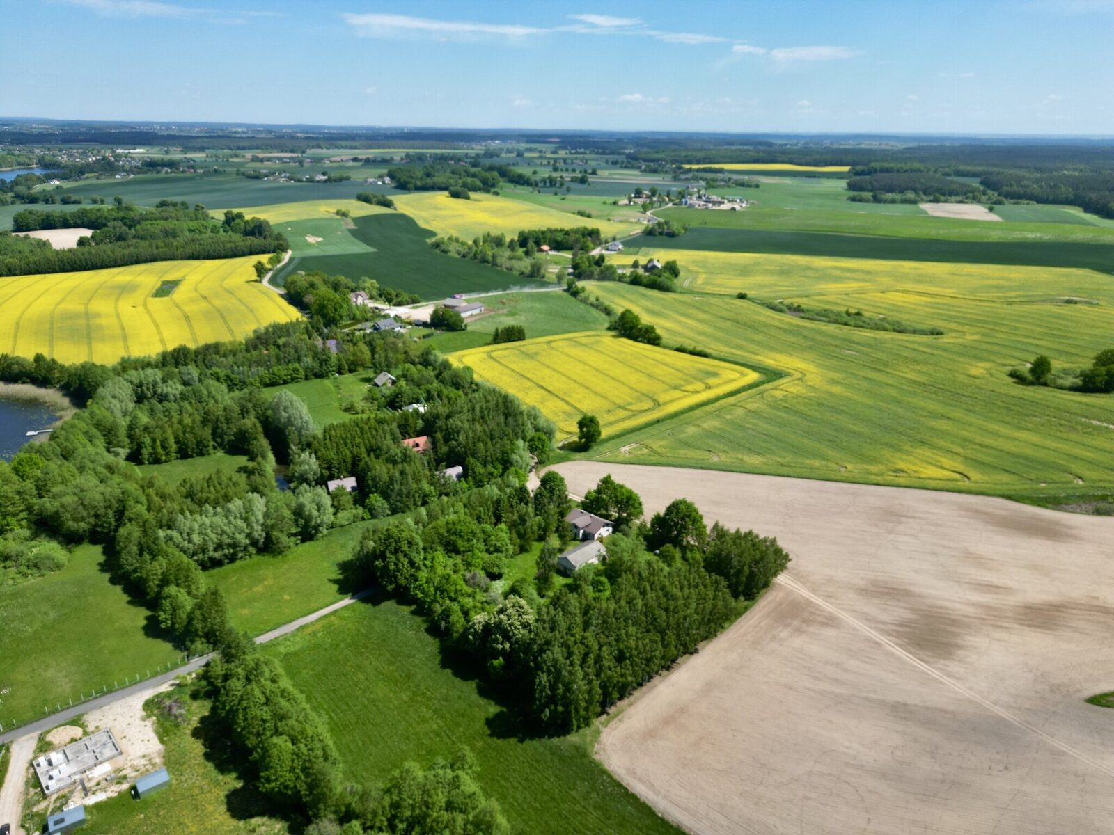 Zdjęcie 12
